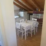 Kolona
