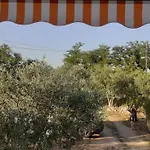 Kolona *