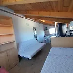 Kolona