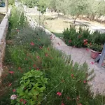 Kolona *