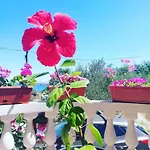 Kolona