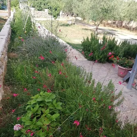 Kolona *